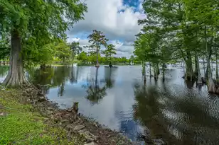 1232 Longpoint Rd, Cross, SC 29436 - Photo 47