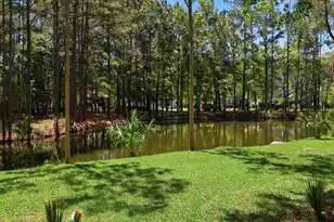2041 Ashburton Way, Mount Pleasant, SC 29466 - Photo 37