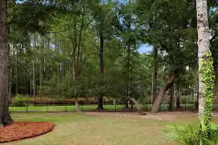 2041 Ashburton Way, Mount Pleasant, SC 29466 - Photo 33