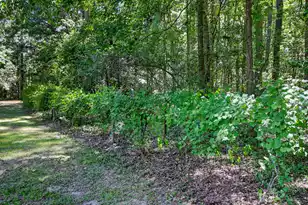 105 Satling Ct, Ridgeville, SC 29472 - Photo 63