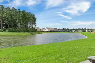 161 Greenwich Dr, Summerville, SC 29486 - Photo 41