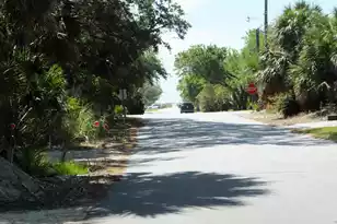 575 Pelican Ct, Edisto Island, SC 29438 - Photo 61