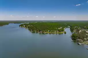 1136 Lemon Ave, Manning, SC 29102 - Photo 69