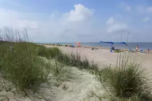 3332 Myrtle St, Edisto Island, SC 29438 - Photo 63