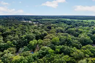 417 Mill Creek Rd, Vance, SC 29163 - Photo 43