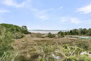 2072 Amenity Park Dr, Mount Pleasant, SC 29466 - Photo 1