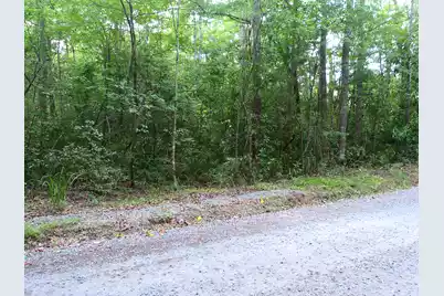 0 Branch Road, Moncks Corner, SC 29461 - Photo 3