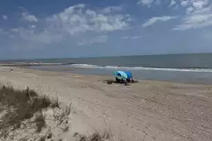 111 Palmetto Blvd, Edisto Beach, SC 29438 - Photo 3