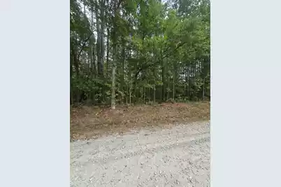 000 Drew Hill Ct., Cottageville, SC 29435 - Photo 3