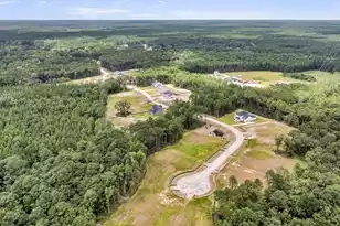 1253 Reserve Ln, Awendaw, SC 29429 - Photo 41