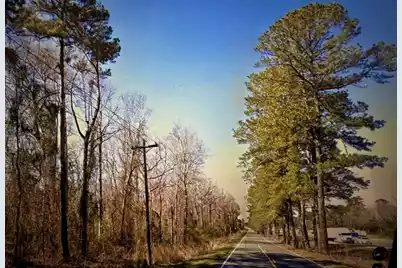 0000 Citadel Road, Orangeburg, SC 29118 - Photo 1