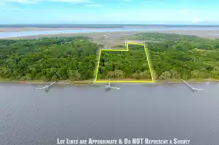 0 South Fenwick Island, Edisto Island, SC 29438 - Photo 3