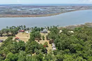 3358 Baldwin Ln, Green Pond, SC 29446 - Photo 63