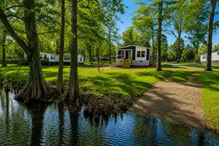 569 Stumphole Rd, Elloree, SC 29047 - Photo 7