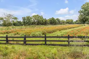 5738 Kiawah River Dr, Johns Island, SC 29455 - Photo 47
