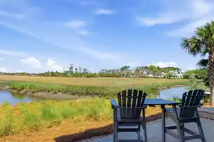 312 River Oak Dr, Mount Pleasant, SC 29464 - Photo 69