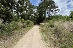536 2 Mile Run, Johns Island, SC 29455 - Photo 75