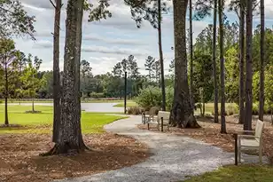 119 Sea Oats St, Summerville, SC 29485 - Photo 13