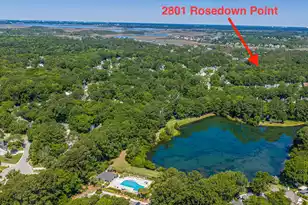 2801 Rosedown Point, Mount Pleasant, SC 29466 - Photo 55