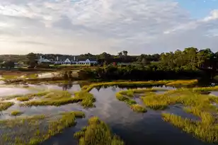 180 Ithecaw Creek St, Charleston, SC 29492 - Photo 87