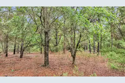 0 Josie Ridge Road #Lot 23, Wadmalaw Island, SC 29487 - Photo 5