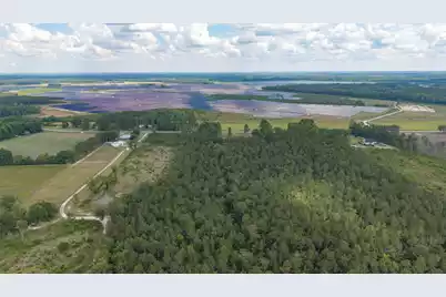 6222 Saint Delights Road #Lot 8A, Georgetown, SC 29440 - Photo 17