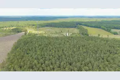 6222 Saint Delights Road #Lot 8, Georgetown, SC 29440 - Photo 11