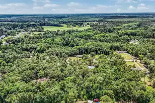 39 Rosa Dr, Saint Matthews, SC 29135 - Photo 43