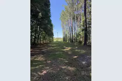 3125 State Road, Summerville, SC 29483 - Photo 5