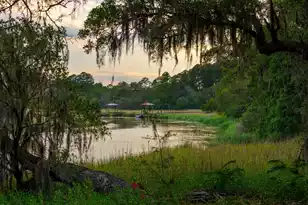 722 Riley Rd, Charleston, SC 29412 - Photo 5