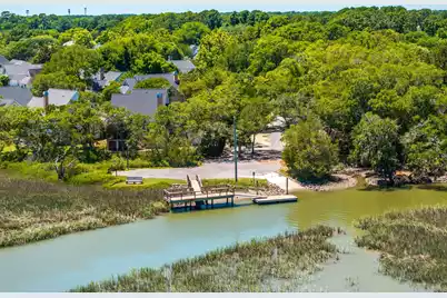 113 Sea Cotton Circle, Charleston, SC 29412 - Photo 43