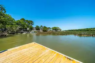 113 Sea Cotton Cir, Charleston, SC 29412 - Photo 39
