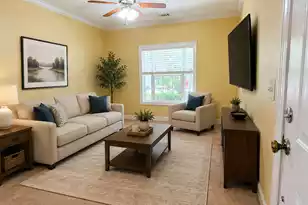 4005 Radcliffe Pl Dr, Charleston, SC 29414 - Photo 5