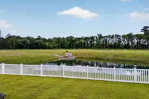 113 Palfrey Dr, Ridgeville, SC 29472 - Photo 43
