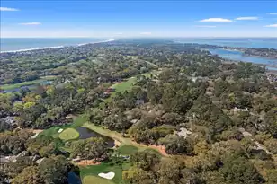 42 Cotton Hall, Kiawah Island, SC 29455 - Photo 53