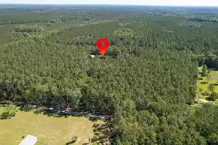 8144 Autumn Mist Ln, Adams Run, SC 29426 - Photo 33