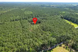 8144 Autumn Mist Ln, Adams Run, SC 29426 - Photo 31