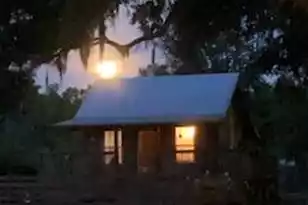 1661 Lonnie Taylor Ln, Wadmalaw Island, SC 29487 - Photo 5