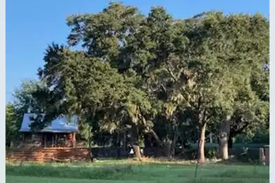 1661 Lonnie Taylor Lane, Wadmalaw Island, SC 29487 - Photo 7