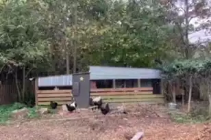 1661 Lonnie Taylor Ln, Wadmalaw Island, SC 29487 - Photo 3
