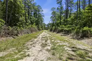 543 Campbell Rd, Ridgeville, SC 29472 - Photo 39