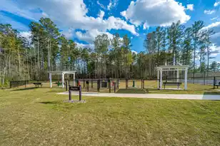 322 Autumn Azalea Wy, Summerville, SC 29486 - Photo 71