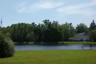 351 Matuskovic Dr, Charleston, SC 29414 - Photo 17