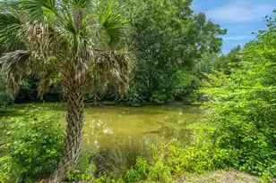 807 Bruce St, Charleston, SC 29412 - Photo 37