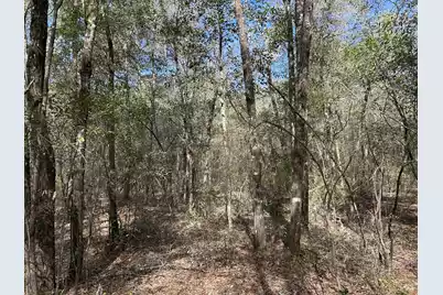 11 Boat Landing Road, Ridgeville, SC 29472 - Photo 15