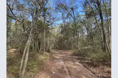 11 Boat Landing Road, Ridgeville, SC 29472 - Photo 3