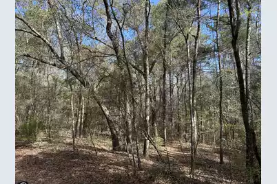 11 Boat Landing Road, Ridgeville, SC 29472 - Photo 5