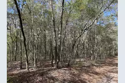 11 Boat Landing Road, Ridgeville, SC 29472 - Photo 11