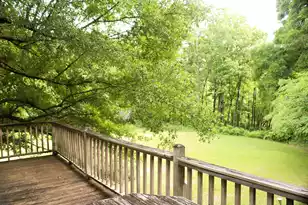 5451 Wire Rd, Branchville, SC 29432 - Photo 11