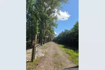 0 Capital Road, Jacksonboro, SC 29452 - Photo 3